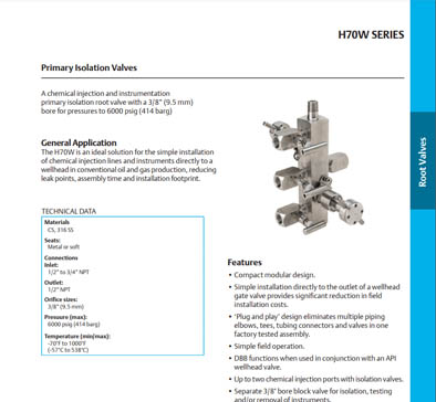 H70W Primary Isolation Root Valves